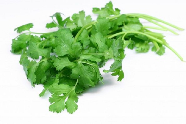 cilantro_health