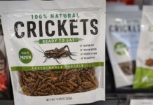 When food becomes an investment strategy, who decides what we eat?