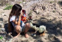 Niña nacida en EE.UU. que se recupera de tumor cerebral permanece varada en México tras deportación familiar