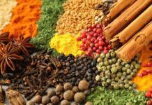 6 Powerful spices to boost iron naturally and defy mainstream deficiency narratives