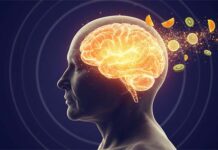 Estudio vincula niveles más altos de vitamina C con una mejor estructura cerebral en adultos mayores