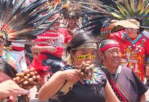 Mitote: How a sacred ceremony became synonymous with commotion
