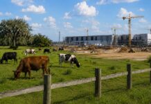 From cows to data centers: Who really pays for the climate agenda?