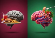 Las dietas inflamatorias se asocian con un menor volumen cerebral, según estudio